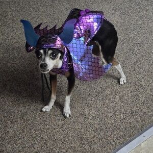 Shimmering Purple Dragon Dog Costume Small/X-small